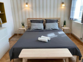 Cozy apartment, in the heart of the city